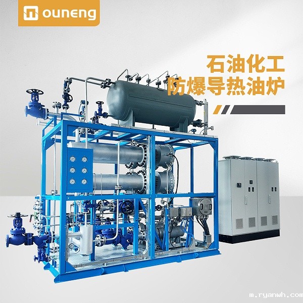 石化专用防爆导热油炉