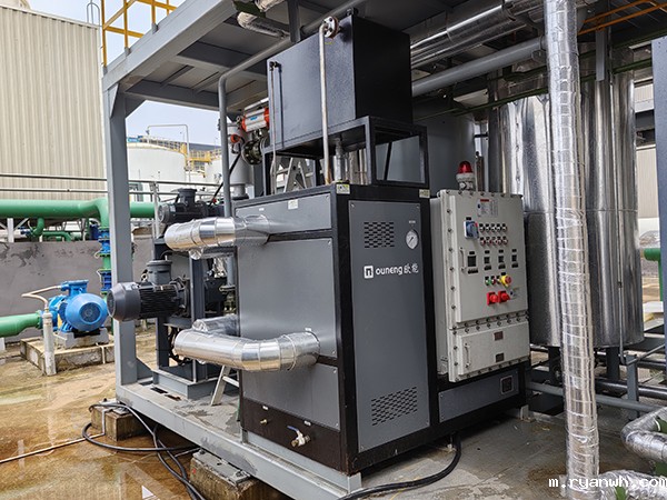 垃圾焚烧发电换热器控温电加热防爆导热油炉