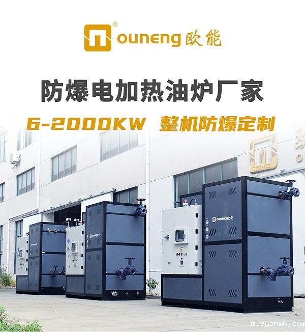 小型防爆导热油炉