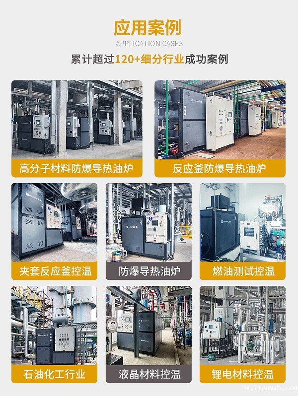 小型防爆导热油炉案例